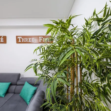 Hébergement de vacances Three Fish *